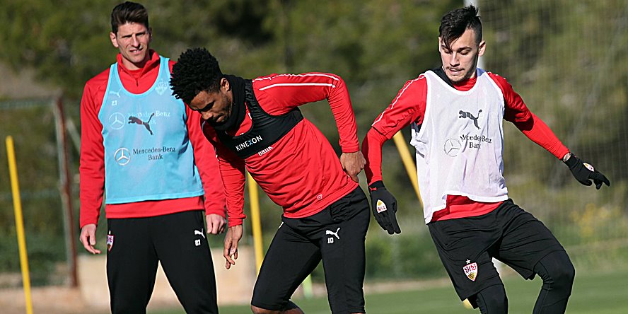 Sperren II: Wer ersetzt Petrak, Schwegler und Gomez?